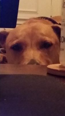 themisbruh's profile picture. 