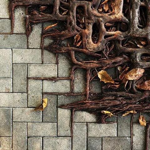 BaudoinArquitec's profile picture. La arquitectura como hecho político y lo urbano como contracultural, germen de la fricción social.