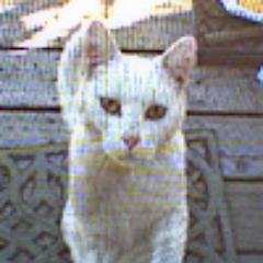 Elliot_Lake's profile picture. 