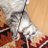 forkner_cat's profile image