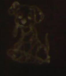 lokitomoreno1's profile picture. 