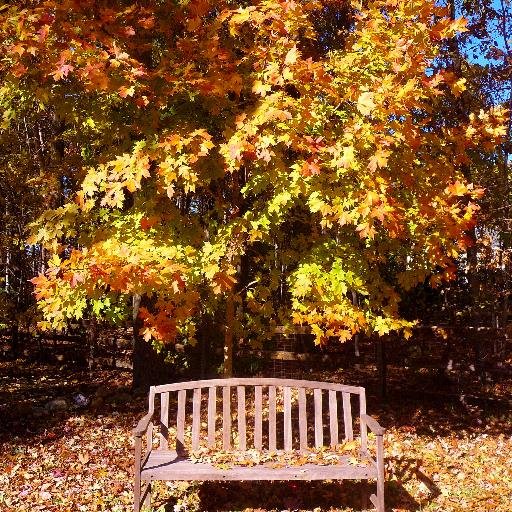 reeleditor's profile picture. 