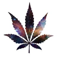 PLAIN STONED (@plainstoned) 's Twitter Profile