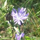 Erin Way (she/her) - @Eyaw3 - Twitter