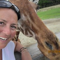 Mrs. Amoroso (@mrsamoroso24) 's Twitter Profile