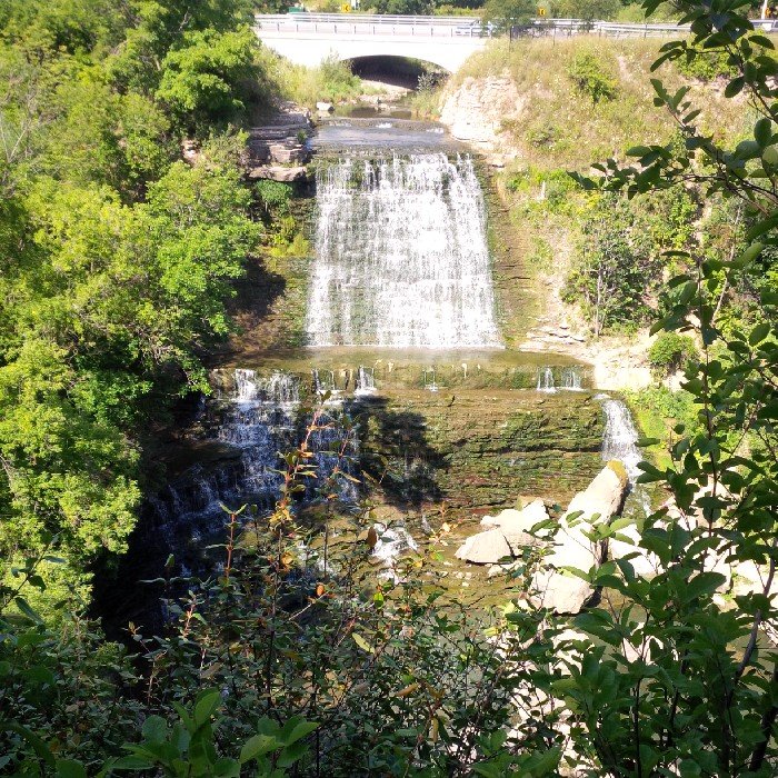 amy_halcovitch's profile picture. 