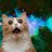 UrAverageCuntx's profile image