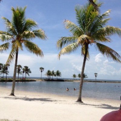 Salvador2394's profile picture. 