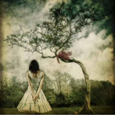 Luvkitties36's profile picture. 