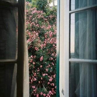 m_tuota's profile picture. ‏ليس كُل مَ آغرد بہ من وآقعي ؤآنمآ مُقتطفآت آقتبستهآ من حولي ووجدتهآ مُنآسبه كآتبه مَ تُجيد به نفسي ومَ تُمليه علي مُخيلتي (بَ المفضلہ) تُهمني آرآء من حولي.