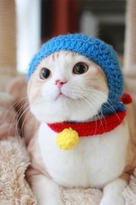 アニメ大好きLiSA大好きなファンですこれからもLiSAを応援します!!!
