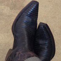 William Baxter (@_web) 's Twitter Profile Photo