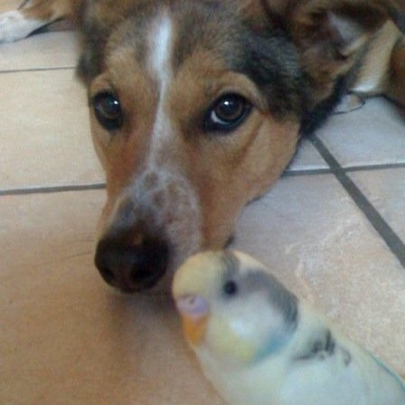 __weemonster__'s profile picture. librarian, geologist, wombat enthusiast, and force to be reckoned with.