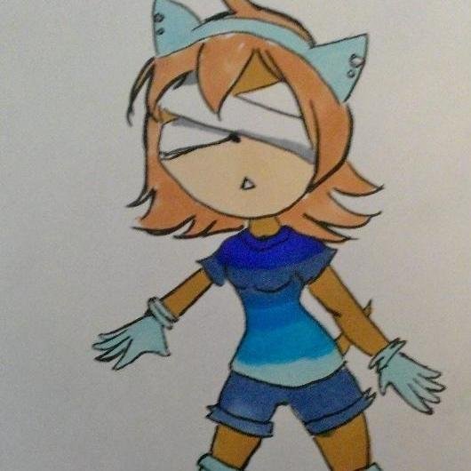 Name's Ekholine. But just call me Ekho. I'm a ordinary hedgehog and yes I am blind. Please don't touch the headphones. #SonicRP