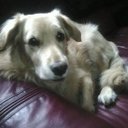 James Rumble - @rumble_james - Twitter