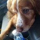 Ann Kent - @annkent0318 - Twitter