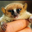 Cameron Greenfield - @20020Cameron - Twitter