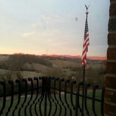 snelson0113 Profile Picture