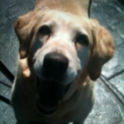 Emily_Vachter's profile picture. 