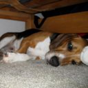 Joshua Ching - @chinginthenorth - Twitter