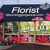 BrettandSally's profile picture. When you're thinking flowers are they...Blooming Gorgeous!