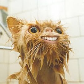 Pepe_Fdz's profile picture. 