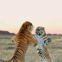 Bronson Baker - @baker_bronson - Twitter