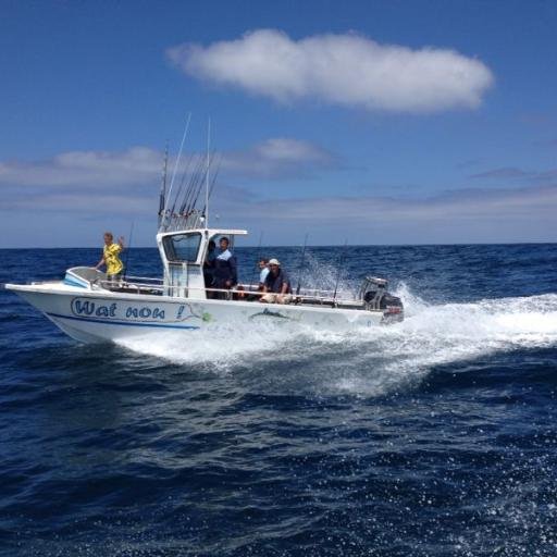 Fishing charters in Struisbaai.  Ons bied - diepsee visvang pakette vir oud en jonk alle spesies vis word gevang. Skipper/eienaar Tjoppie du Toit