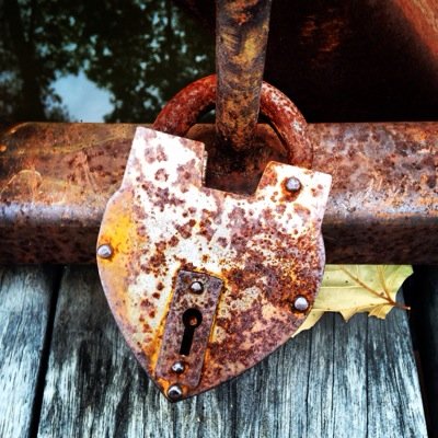 reboney's profile picture. 