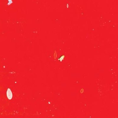 17go781's profile picture. 