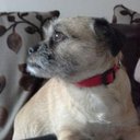 Niall Sullivan - @fatwin3rs - Twitter