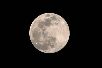 RioR102's profile picture. 