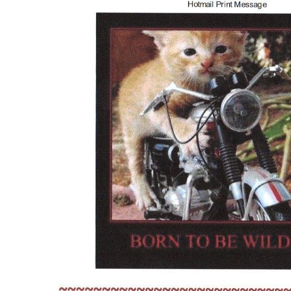 inspectorate1's profile picture. 