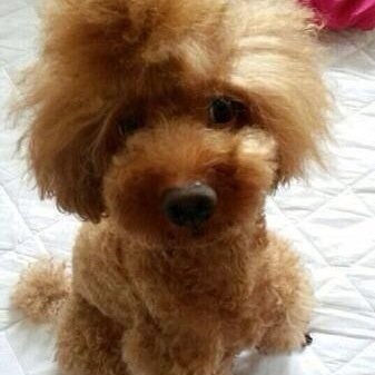 a_yeong_lovexo Profile Picture