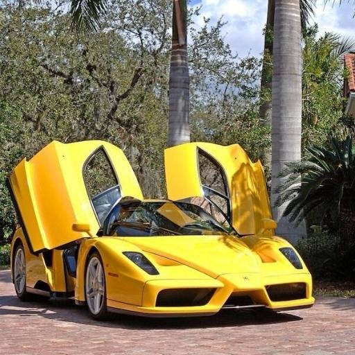 panyuiki's profile picture. Happiness comes when you Believe in what you are doing,know what you are doing,and Love what you are doing