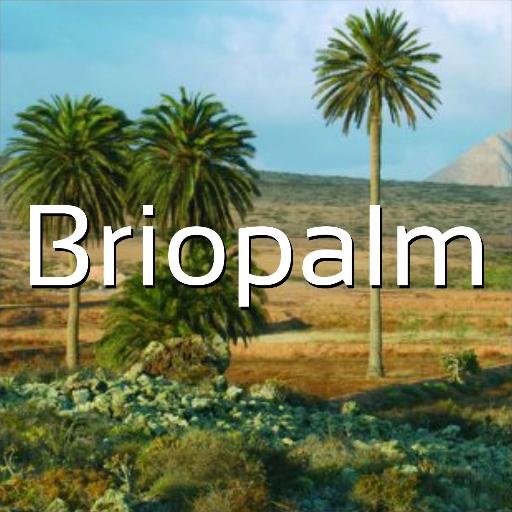 briopalm's profile picture. 