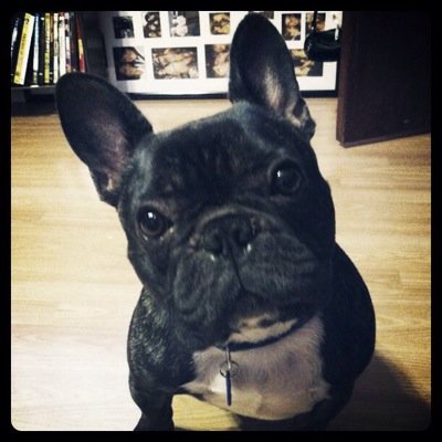 amandope's profile picture. 