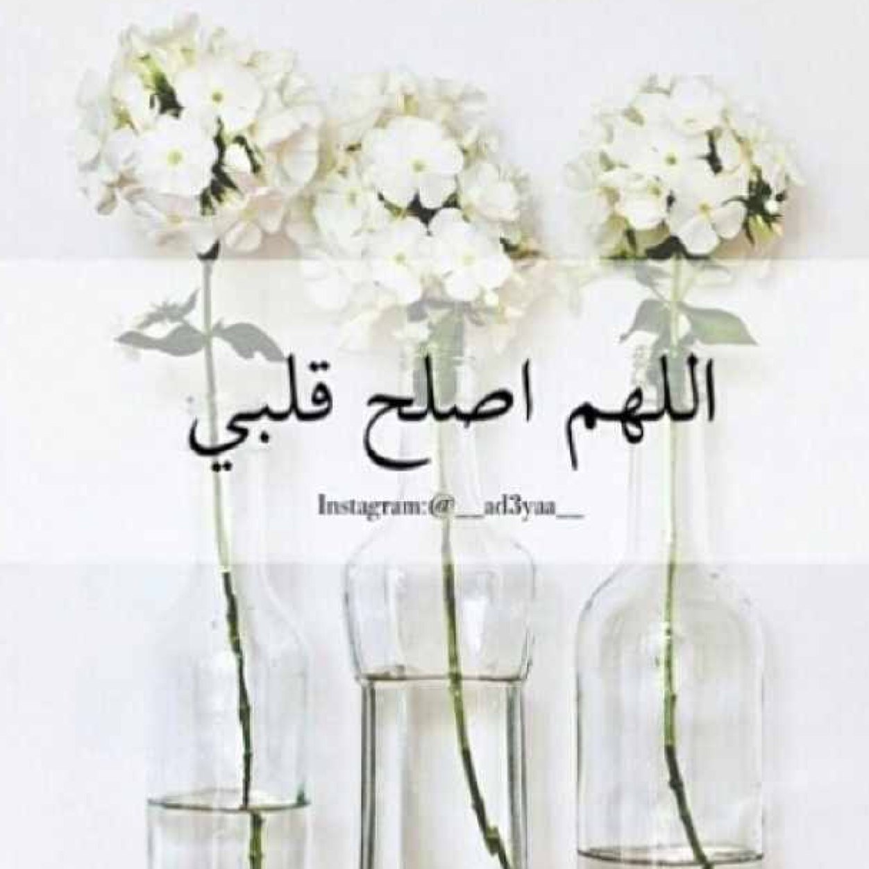 ٲسٺغفړ ٲڵڵـﮧ ، ڵآ ٳڵـﮧ ٳڵآ ٲڵڵـﮧ ، ٲڵڵـﮧ ٲﮘبړ ... ♡ Instagram : do3aakw