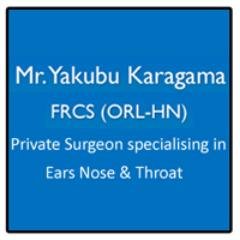 Ear, Nose and Throat Consultant and Laryngologist: Private work HCA shard , BMI Blackheath hospitals London . NHS work at Guy’s and St Thomas’ Hospital, London