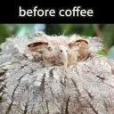 Jim Hadley - @nimrod115 - Twitter