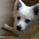 Bailey Banks - @bmx1army - Twitter