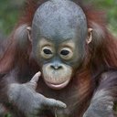 wayne lawton - @waynel967 - Twitter