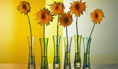 jajetta77's profile picture. 