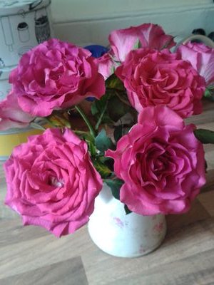 RaeBartlettWebb's profile picture. 