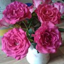 Rae Bartlett-Webb - @RaeBartlettWebb - Twitter