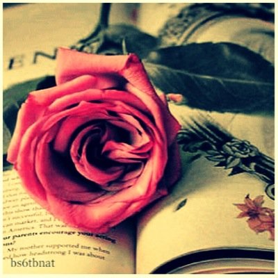 القران صديقك في الدُنيا وشفيعك بالاخره...بدايه&المجد❤️بنتظار #زدرصيدك٤ #المجره ...سعادتي@maholah015m