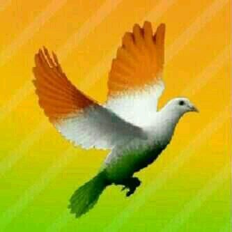 Proud to be an Indian|#My twitt is my own viwe-point so just follow me.