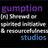 Gumption Studios LLC