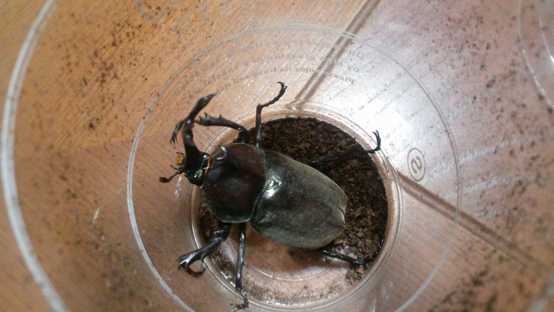 KGonoue's profile picture. バレーボールしたい。ストレスがマジで半端ない。反省することしかない最近。