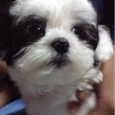 LarryApexus's profile picture. *Claretian~Loves to play games especially League of Legends*